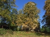 dscf4133