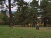 dscf4242